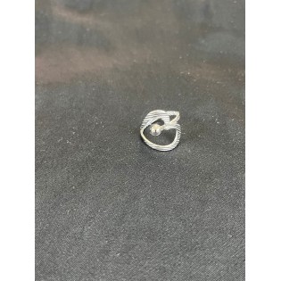 Anillo Brasilia