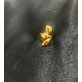 Anillo  Tokio